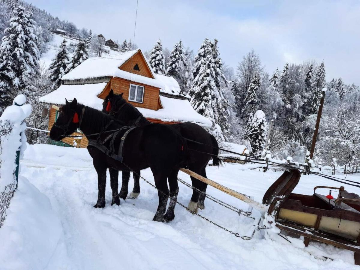 Cottage "Kliverent" Γιαρέμτσε Εξωτερικό φωτογραφία