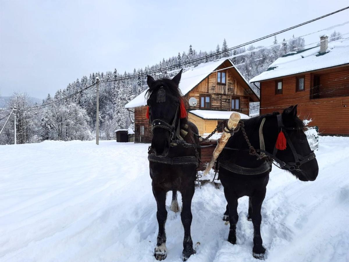Cottage "Kliverent" Γιαρέμτσε Εξωτερικό φωτογραφία